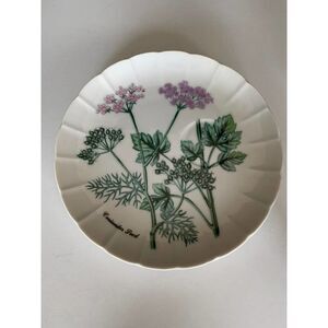 Plate coriander seed herbs flowers